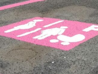 busto pd parcheggi rosa