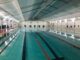 legnano pallanuoto rarinantes seriec