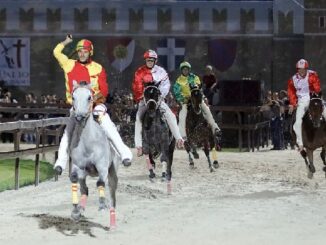 legnano palio provaccia legnarello
