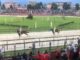 legnano palio 2022 sanmagno