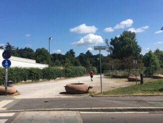 legnano consulta centro pulizia tenconi carroccio