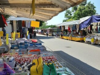 mercato sesto calende