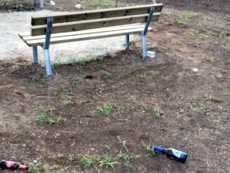 Cassano Parco città vandali