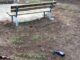 Cassano Parco città vandali