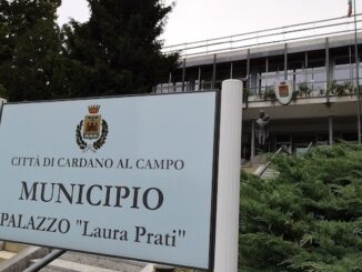 Cardano Suriano baby gang