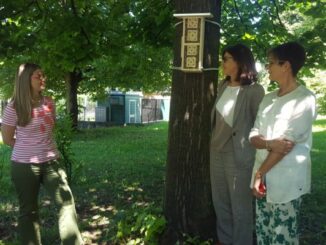 varese bee hotel api