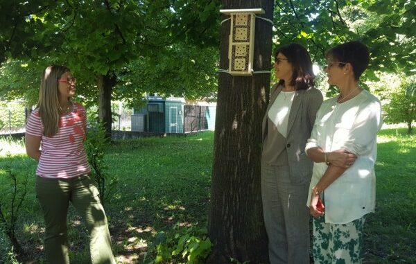 varese bee hotel api