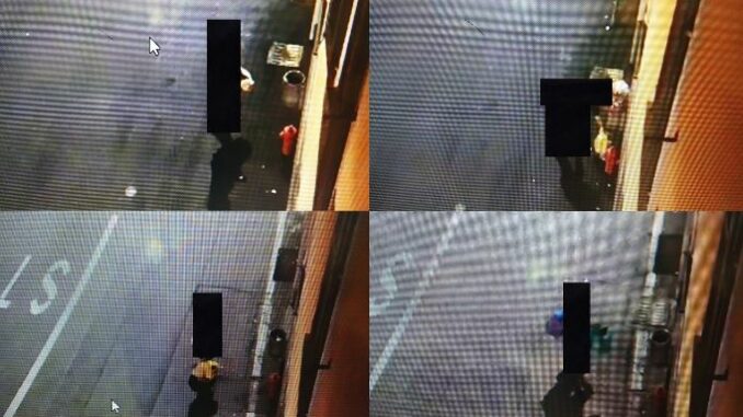 ferno abbandono rifiuti multe telecamere