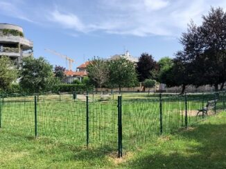legnano area cani allarme
