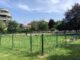 legnano area cani allarme