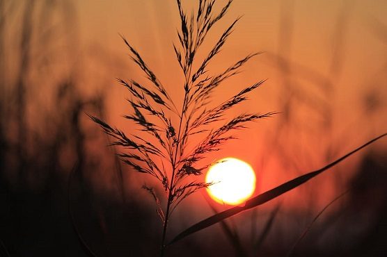 caldo temporali monti pianura