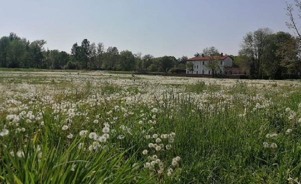 legnano palio pista castello