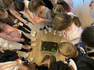 cerromaggiore scuole bambini inclusione