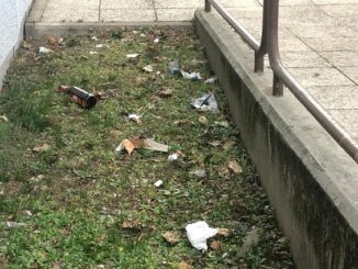 legnano scuole caos studenti