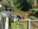 montegrino incidente fiume
