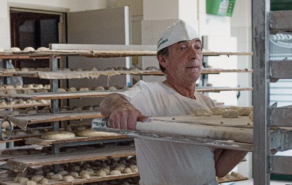 dairago commercio panificio ceriotti