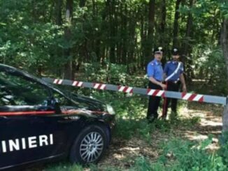 tradate parco pineta