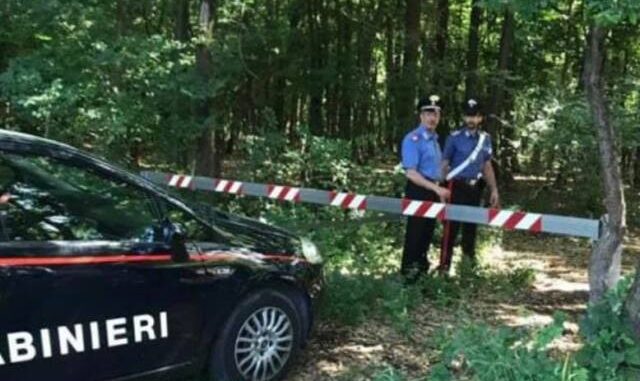 tradate parco pineta