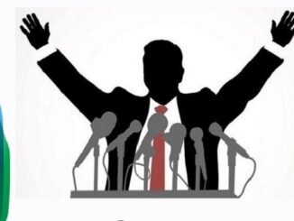 politica politici stupidità