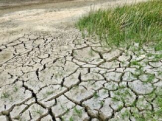 fontana siccità emergenza
