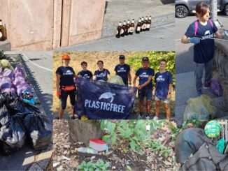 gallarate stazione plastic free