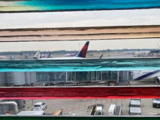 Malpensa aeroporto ripresa mostra