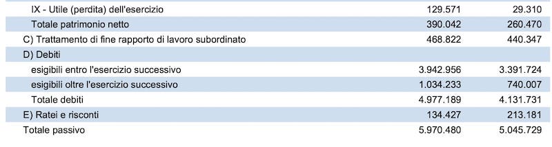 Cassano Castellanza bilancio sieco