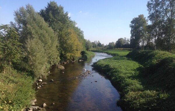legnano olona ambiente bilancio
