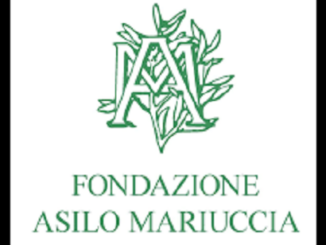 asilo mariuccia espressione errata