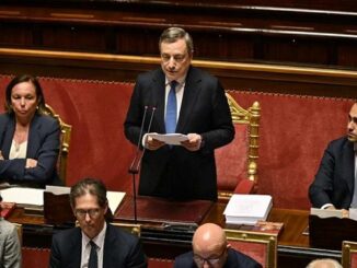 patrini draghi senato