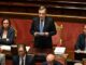patrini draghi senato