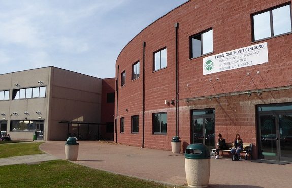 insubria test boom economia