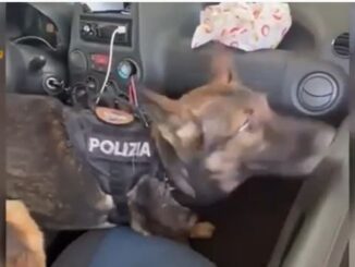 milano controlli antidroga