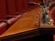 elezioni politica candidature