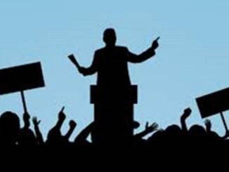 patrini voto politica