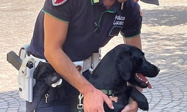 Gallarate cane antidroga