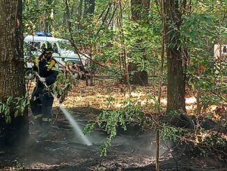 Golasecca incendio parco ticino