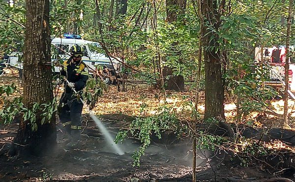 Golasecca incendio parco ticino