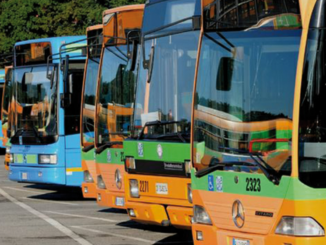 gallarate autobus rigenerati amsc