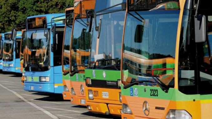 gallarate autobus rigenerati amsc