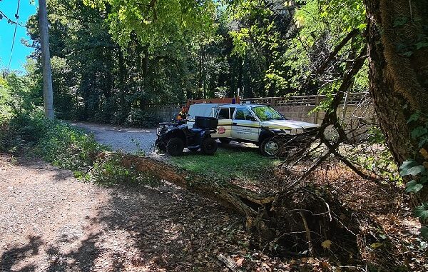castanoprimo protezionecivile maltempo alberi