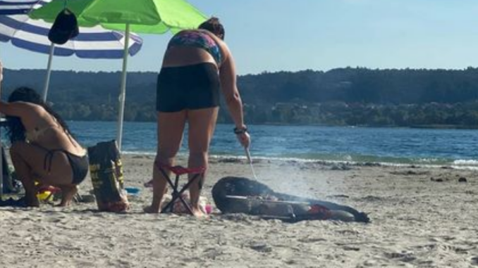 sesto legambiente spiaggia pobi