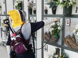 canegrate protezionecivile vespe incendi