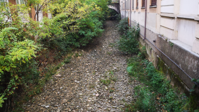gallarate torrente arno legambiente