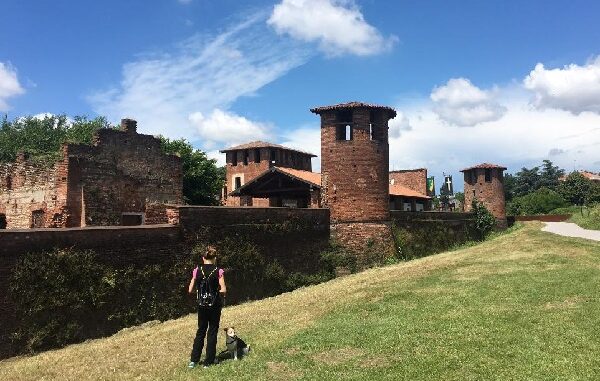 legnano consulta giovani castello