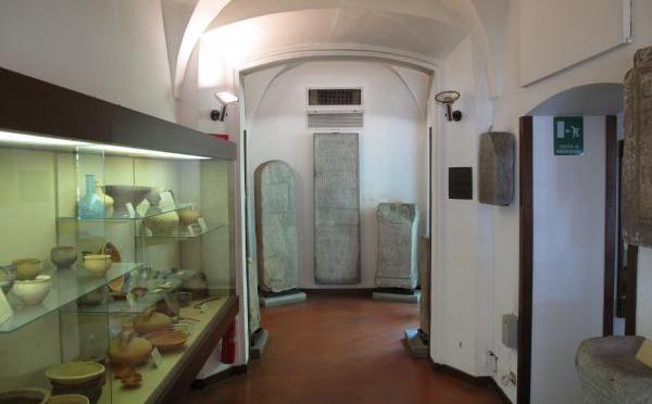 Gallarate museo studi patri