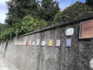 ispra amore premio ron