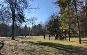 legnano parco piante ambiente