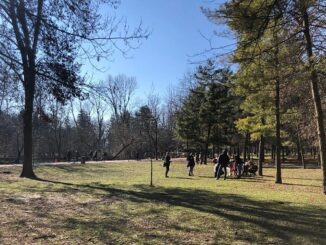 legnano parco piante ambiente