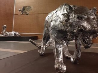 masnago mostra plasticoni pieroni 01